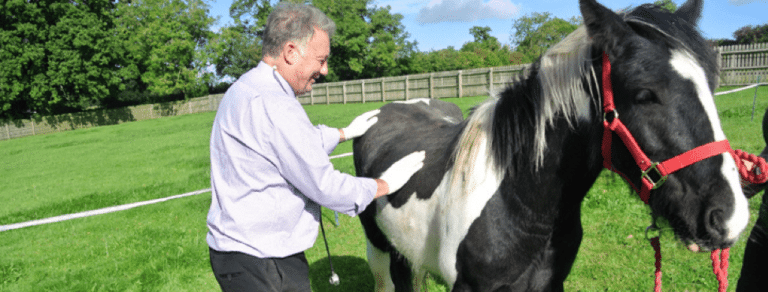 Research with the Animal Health Trust