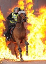 Brave Lancashire police horse, Caton