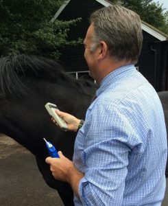 Horse microchipping is essential to make horses easily identifiable