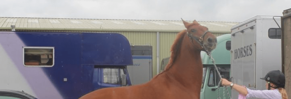 Handling difficult horses