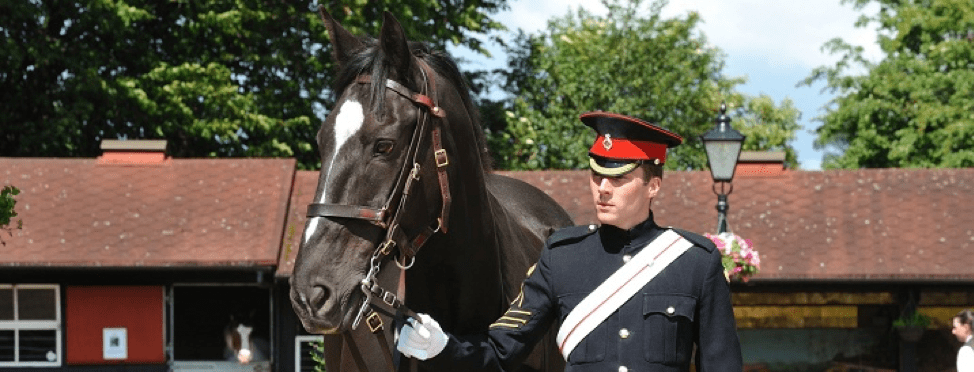 Forces TV visit the Home of Rest for Horses