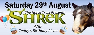 Shrek summer cinema event