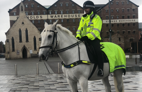 Boris - working police horse