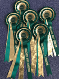 Our Healthiest Body Condition Rosettes are Rolled Out UK Wide