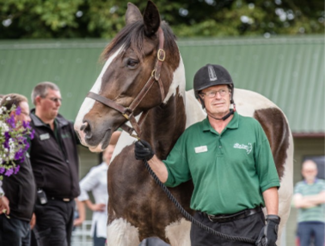 Volunteer at The Horse Trust charity