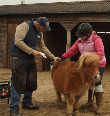 Online course for farriers