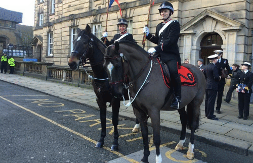 Darwen - working as a police horse