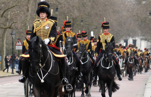 William - military horse Officer's Charger