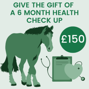 Give The Gift Of: A 6-month Vet Check Up