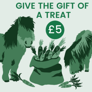 Give The Gift Of: Mini Treats For The Shetland Paddocks