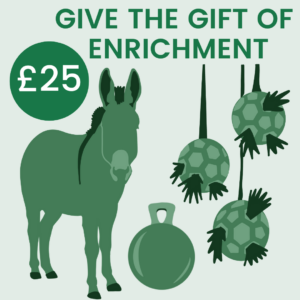 Give The Gift Of: Enrichment
