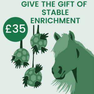 Give The Gift Of: Stable Enrichment