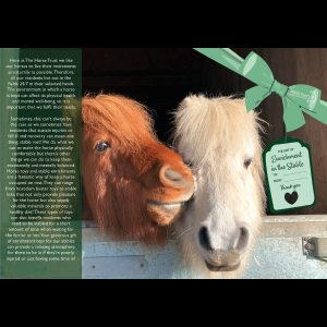 Give The Gift Of: Stable Enrichment
