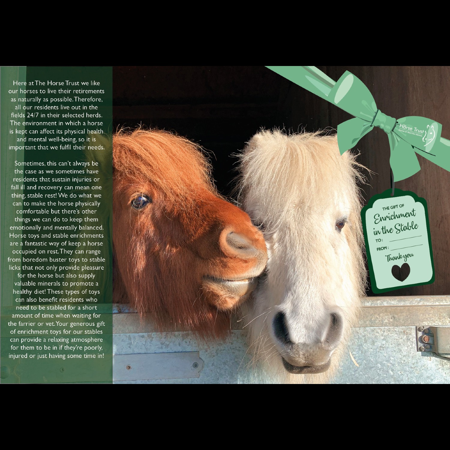 Give the gift of stable enrichment toys