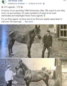 Horse Trust Legend
