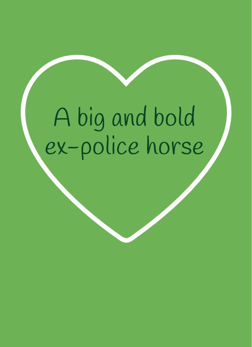Caesar – A big and bold ex-police horse