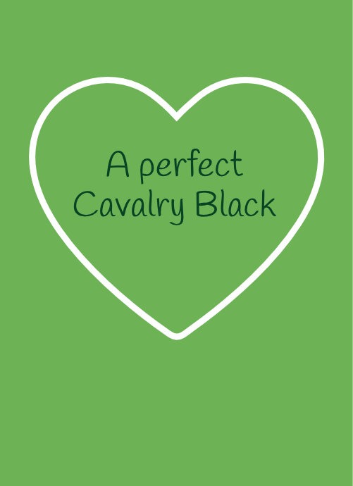 Commando – A perfect Cavalry Black