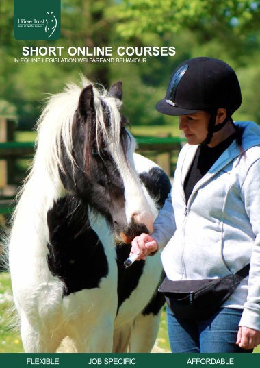Equine Professionals Course Brochure