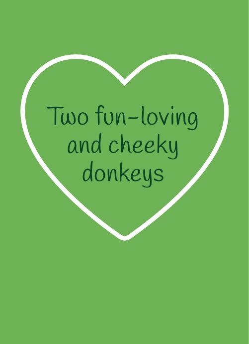 Nora and Lola – Two fun-loving and cheeky donkeys