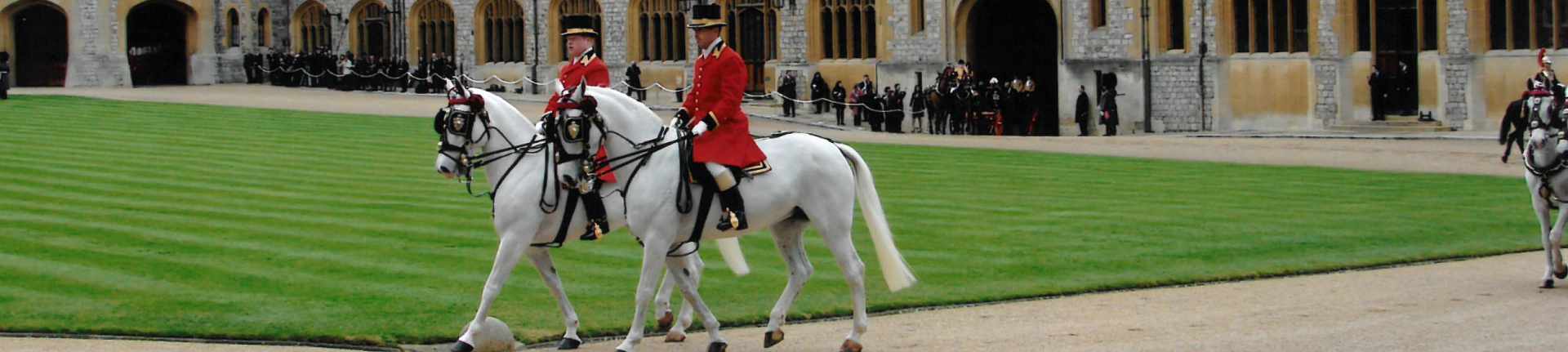 Royal Mews Horses