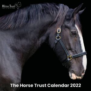 2022 Horse Trust Calendar