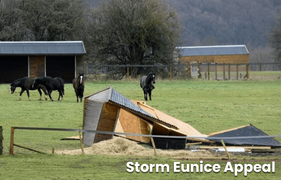 Storm Eunice Emergency Appeal