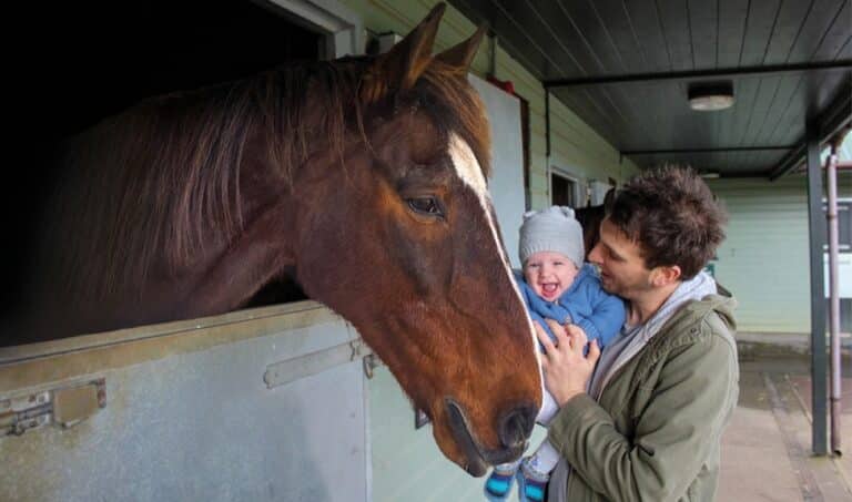 Horses, Hounds & Heroes