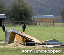 Storm Eunice Appeal