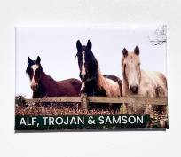 Alf, Trojan and Samson Magnet