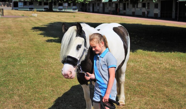 Guinevere with new owner