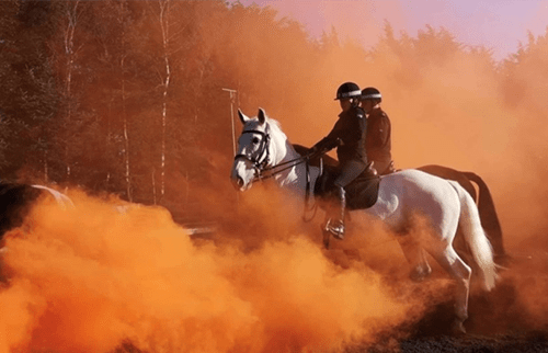 Police horse bravely standing amongst fire and smoke