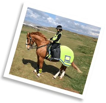Police horse and rider stood by the windy and sunny Welsh coast