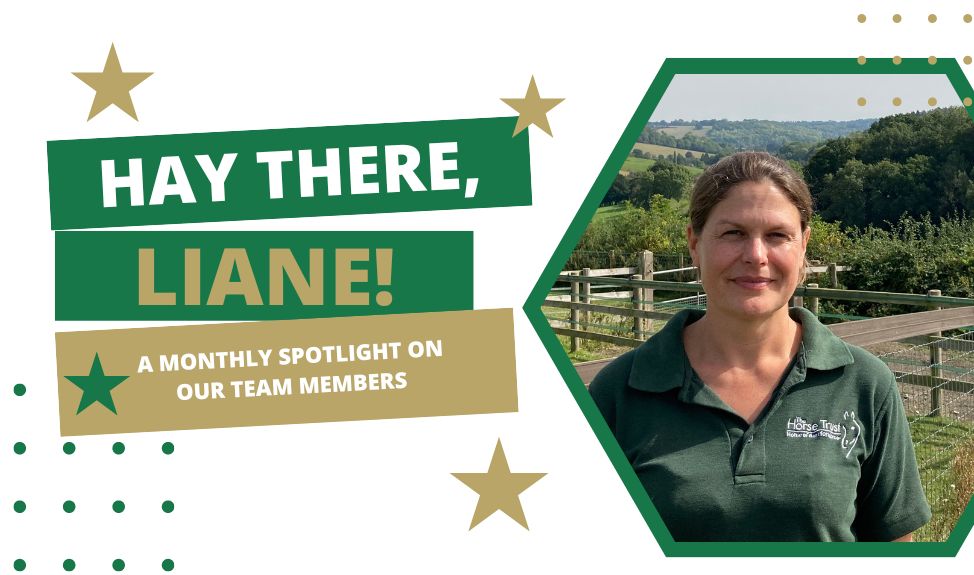 The Horse Trust's Research & Quality of Life Director, Liane
