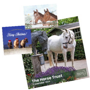 2024 The Horse Trust Calendar And Christmas Card Bundle