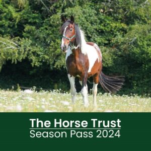 2024 Season Pass For The Horse Trust