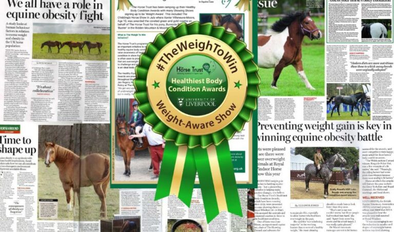 The Healthiest Body Condition Awards news clippings and green rosettes
