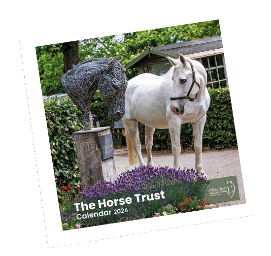 The Horse Trust | Home Of Rest For Retired Horses | Horse Charity