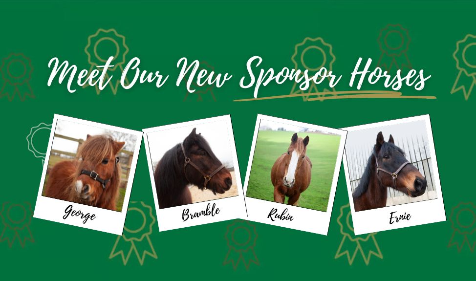 Horse Trust sponsor residents