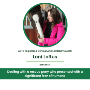 Dealing With A Rescue Pony Who Presented With A Significant Fear Of Humans