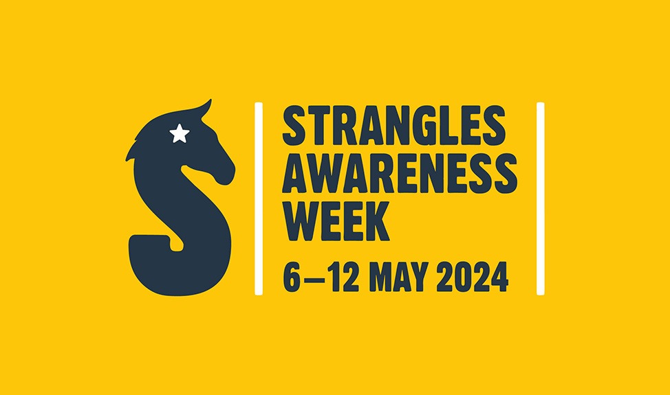 Strangles Awareness Week 2024
