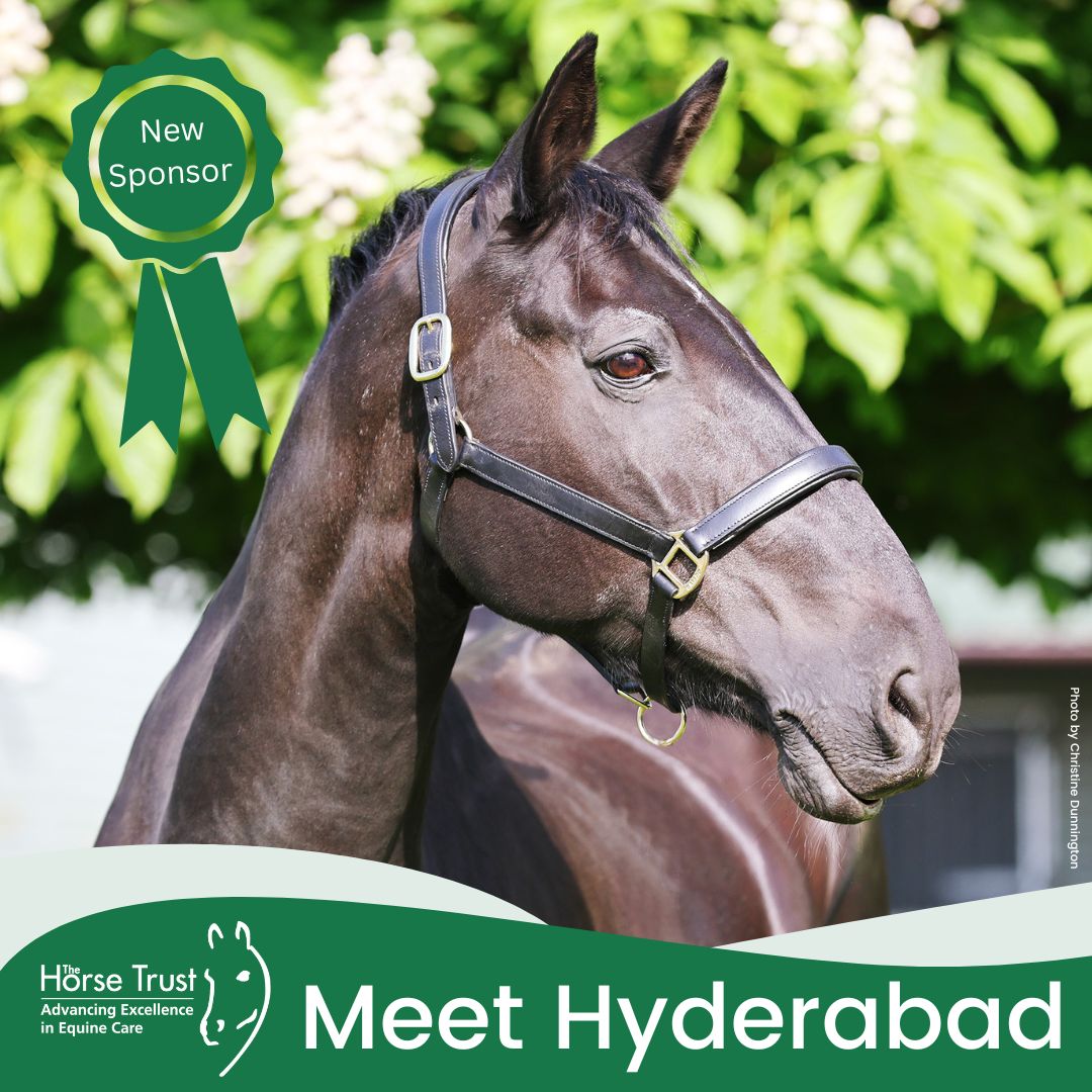 Hyderabad, Military Working Horse