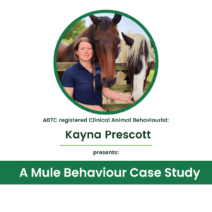 A Mule Behaviour Case Study