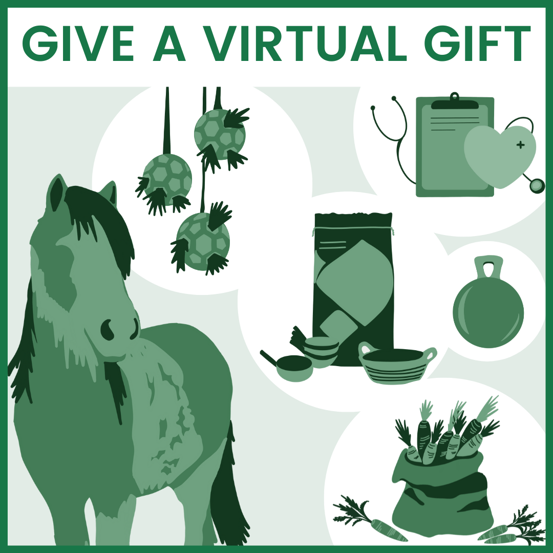Virtual Gifts