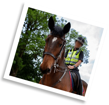 Police horse and rider stood by the windy and sunny Welsh coast