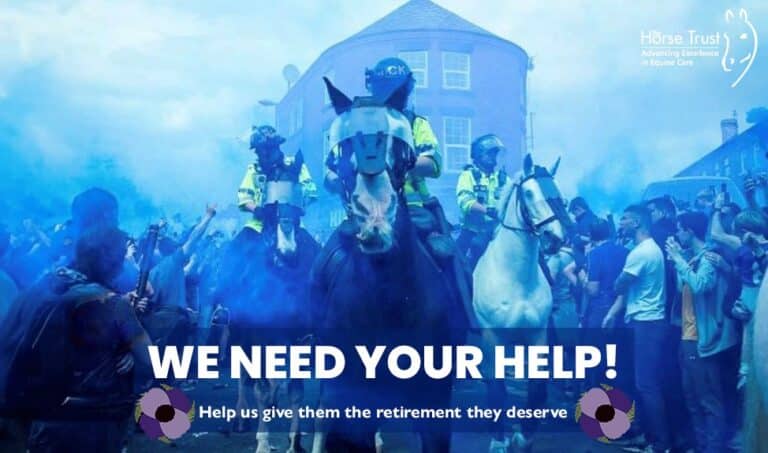 Help Our Equine Heroes This Winter