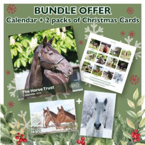 2025 The Horse Trust Calendar And Christmas Card Bundle