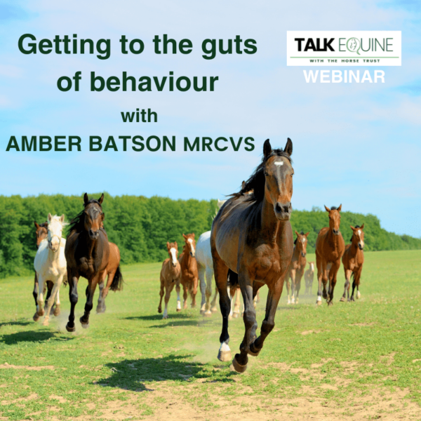 Getting to the guts of behaviour