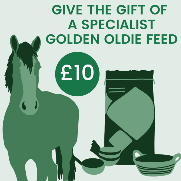 Give the Gift of: Specialist Feed for a Golden Oldie