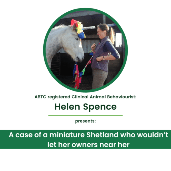 A case of a miniature Shetland who wouldn't let her owners near her