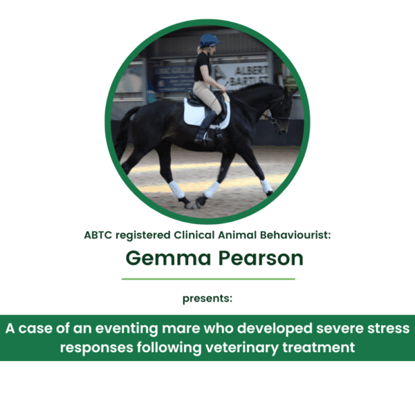 A case of an eventing mare who developed severe stress response following veterinary treatment